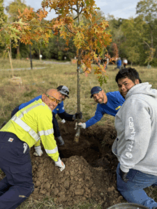 Tree planting in Kent County