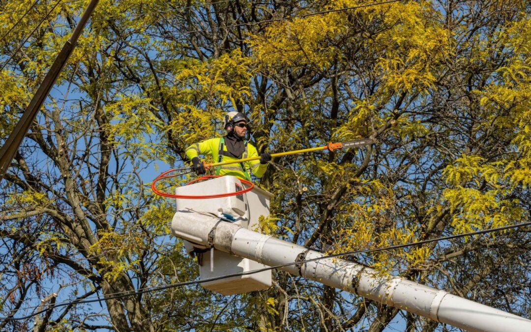 DTE is dedicated to improving reliability in Dearborn and Dearborn Heights