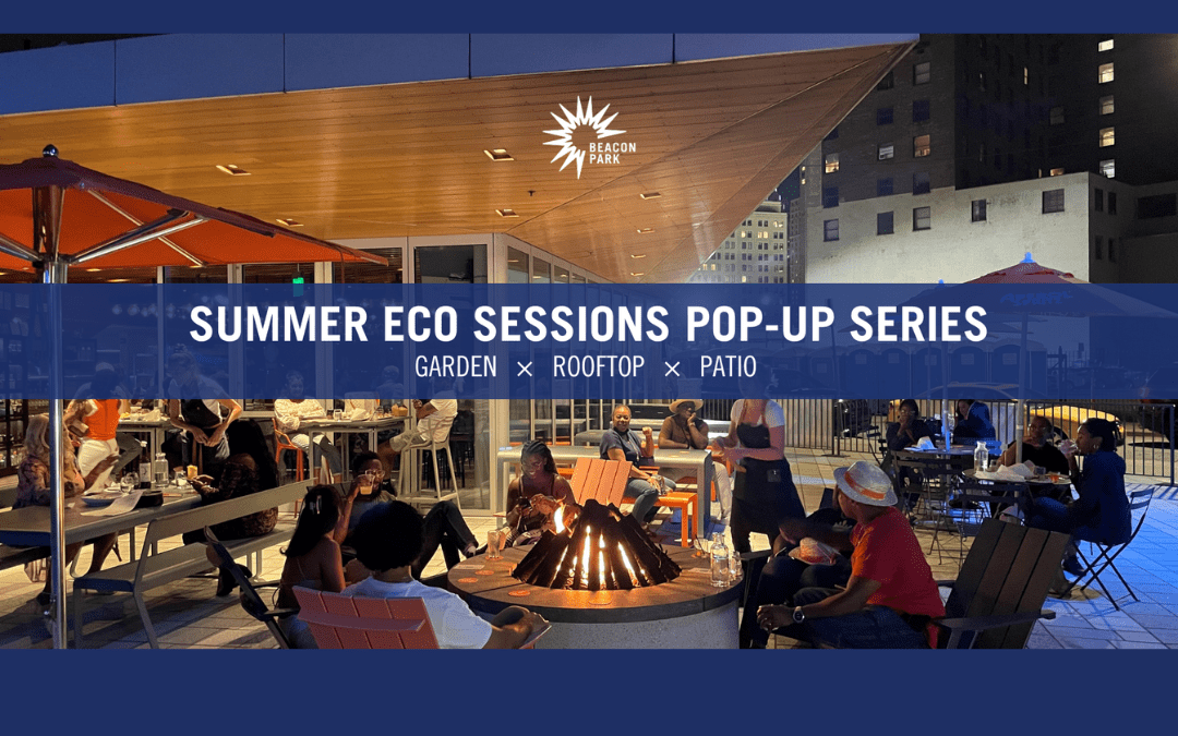 Summer Eco Sessions Pop-Up Series