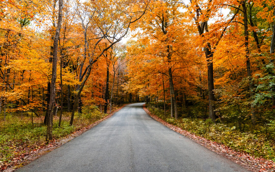 Baker College Leads in Sustainability